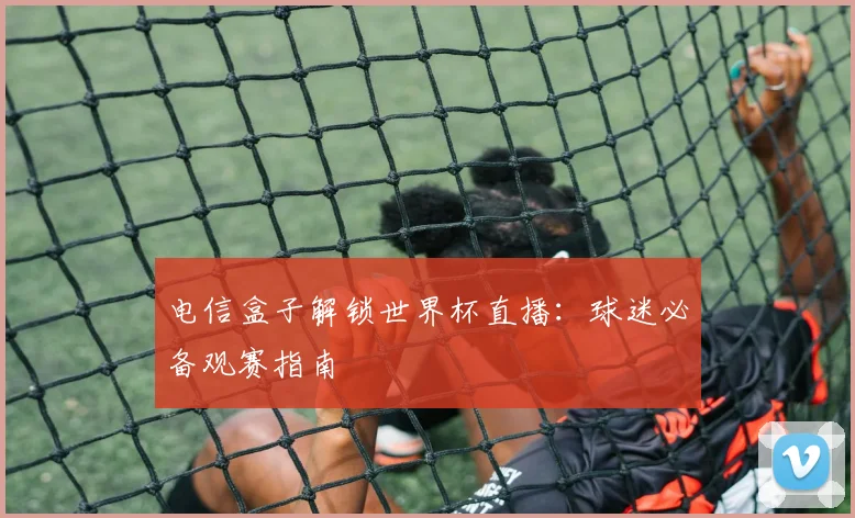 电信盒子解锁世界杯直播：球迷必备观赛指南
