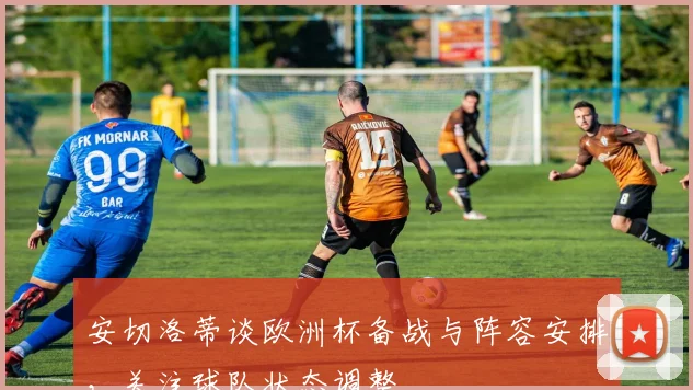 安切洛蒂谈欧洲杯备战与阵容安排，关注球队状态调整