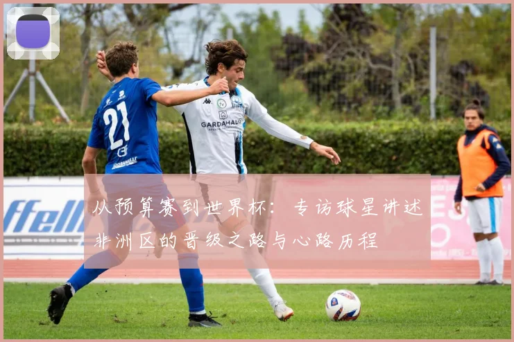 从预算赛到世界杯：专访球星讲述非洲区的晋级之路与心路历程