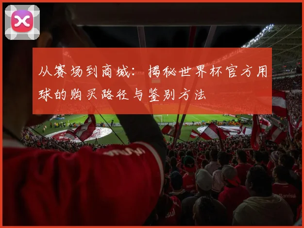 从赛场到商城：揭秘世界杯官方用球的购买路径与鉴别方法